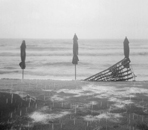 Beach Closed - Silver Gelatin Photography by Gwen Arkin